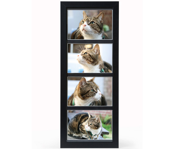 UFB3 MULTIFRAME - d77d6-edcc3-ufb3-b1f42.jpg