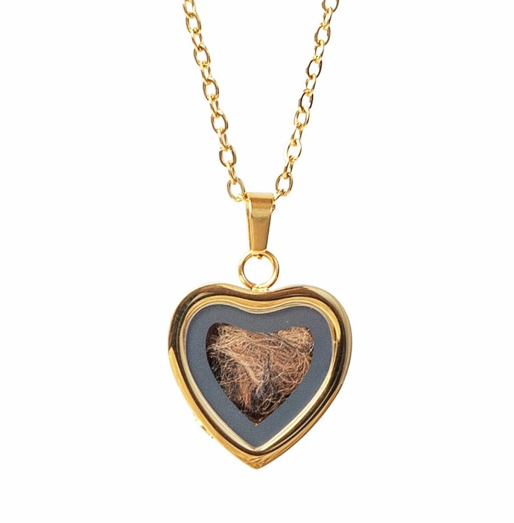 Joies amb Pèl (Or) - joia-amb-pel-daurat---copia.jpg