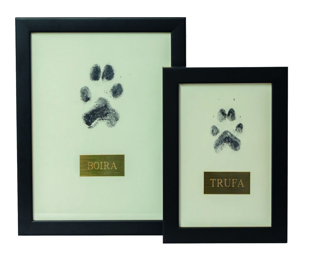 Frame with ink print - marc-amb-petjada-tinta.jpg