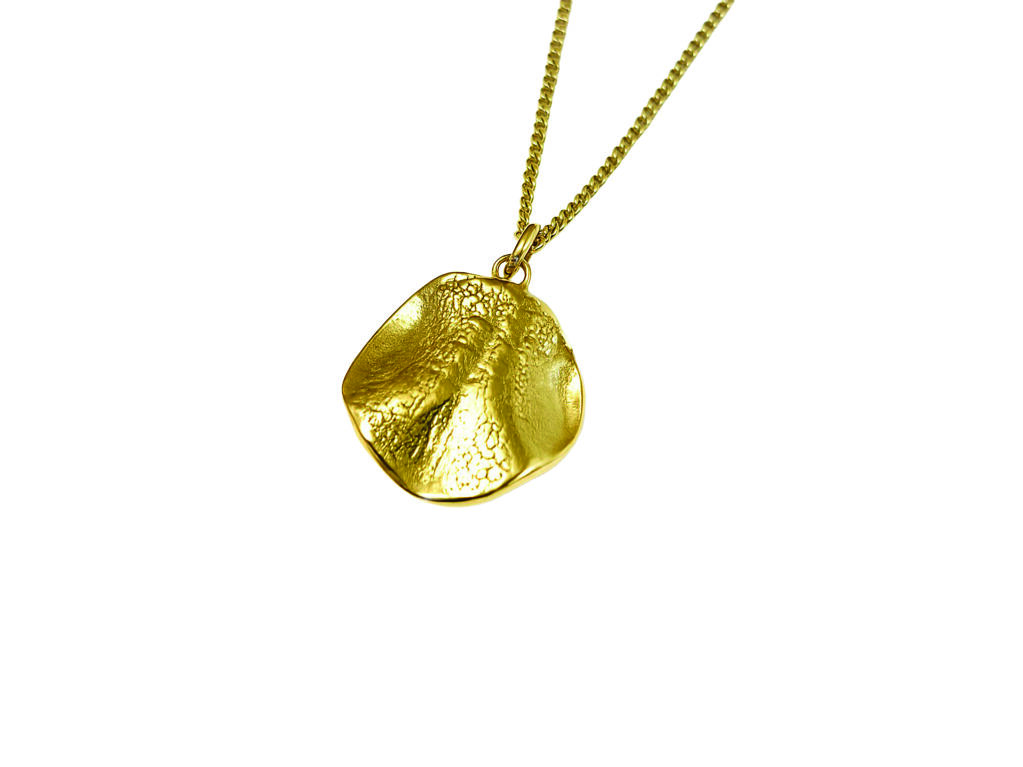 Joia a partir del musell (Or) - penjoll-musell-or-copia.jpg