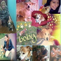 BOBY