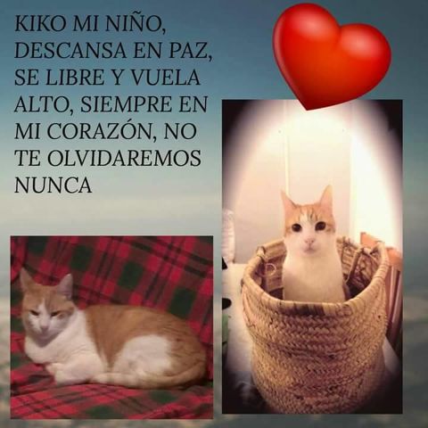 KIKO