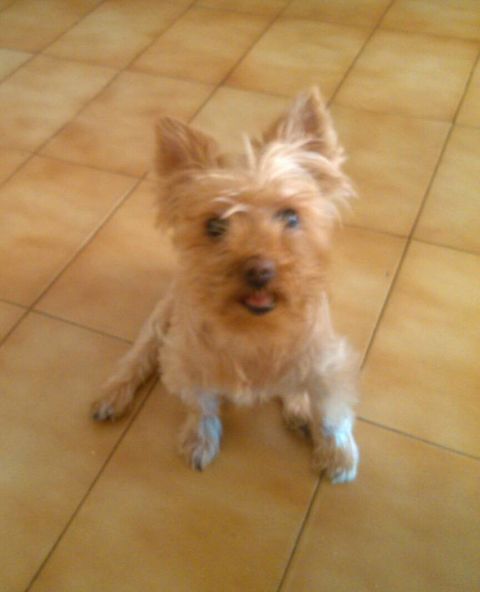 TUKA