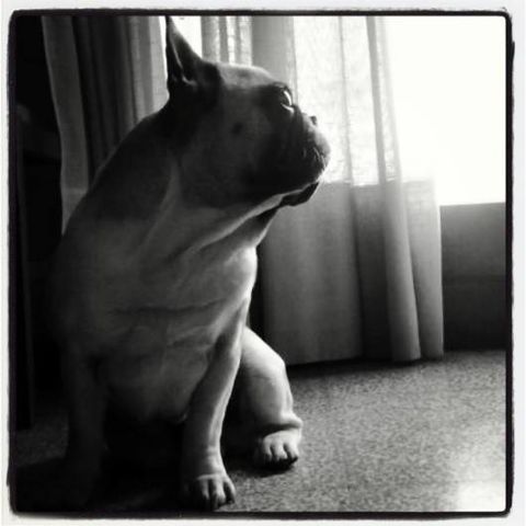 OSCAR