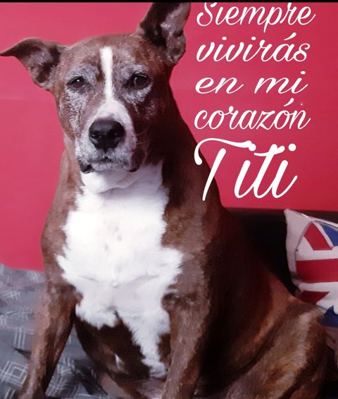 TITI