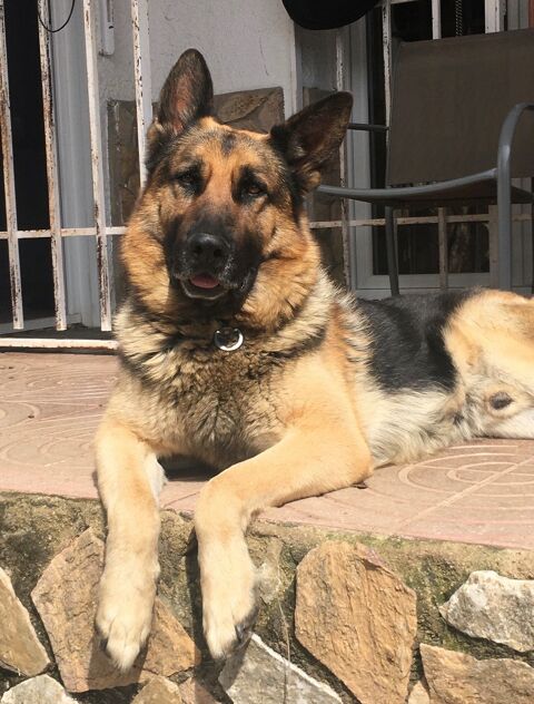 ARGO