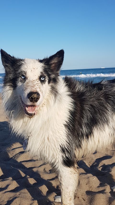 COOPER