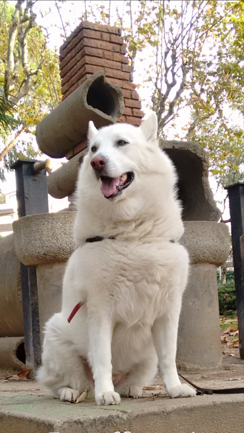 BLANCA