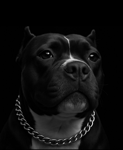 BALOO