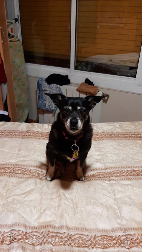 BIMBA