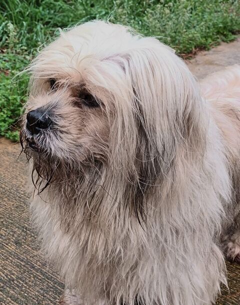 CASPER