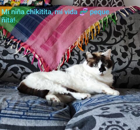 CHIQUI