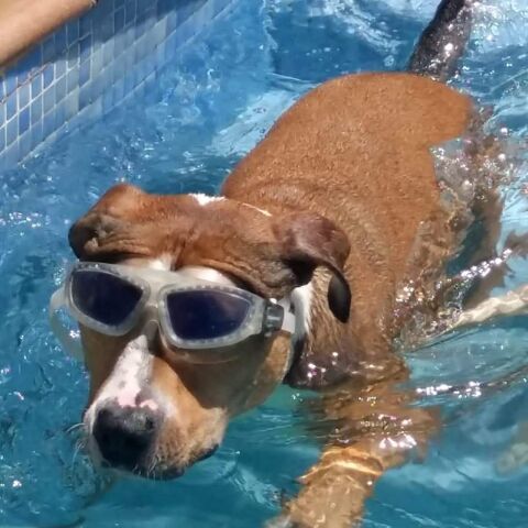 COOPER
