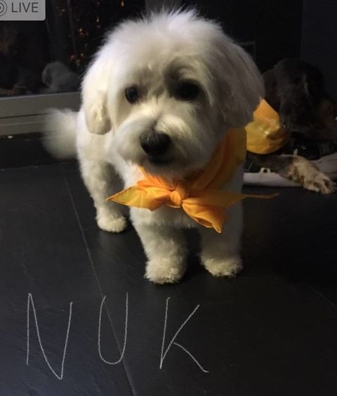NUK