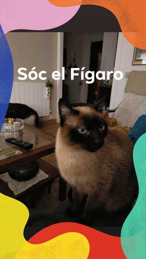 FÍGARO