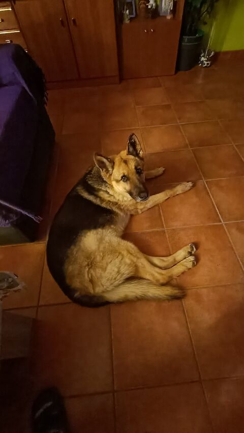 JACK