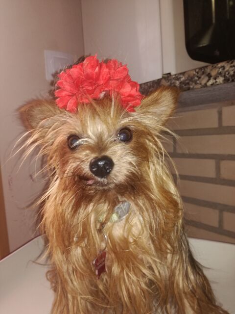 KENIA