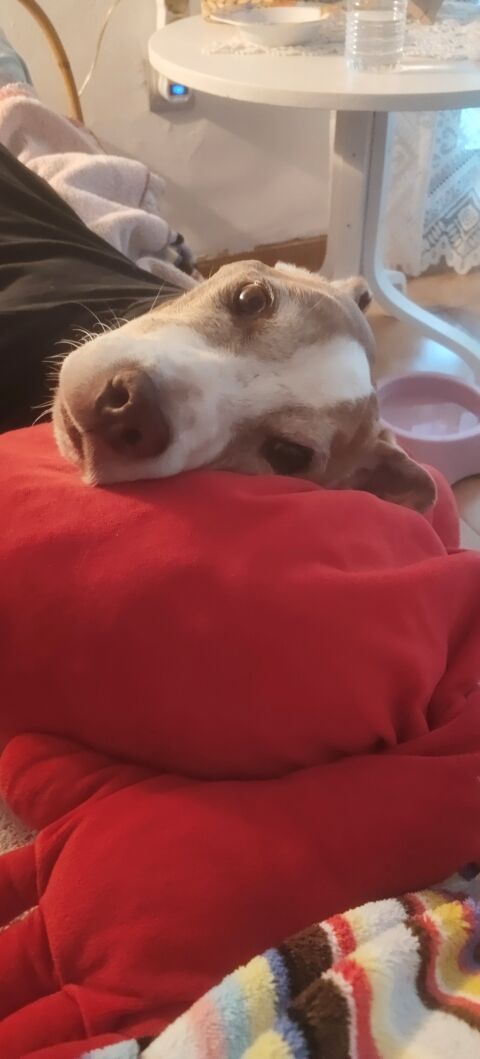 KIRA
