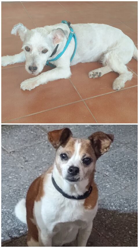 KIRA Y MAX