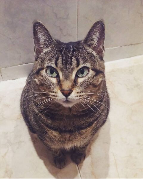 KUKI