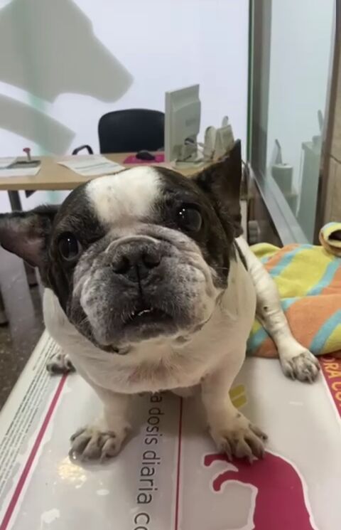 LINDA