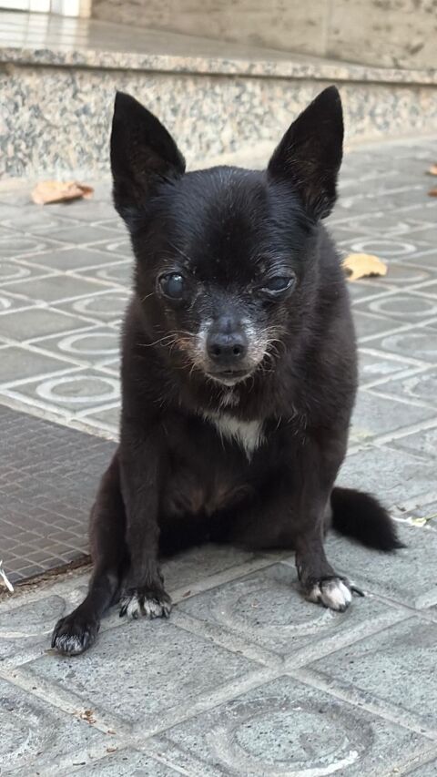 LOLA