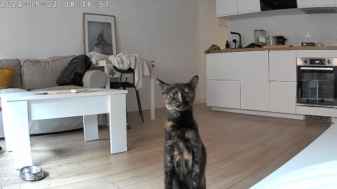 LUA