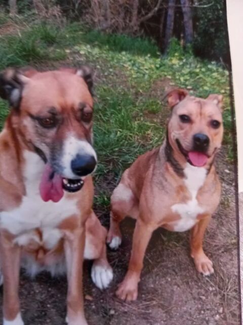 MEL Y PEPA