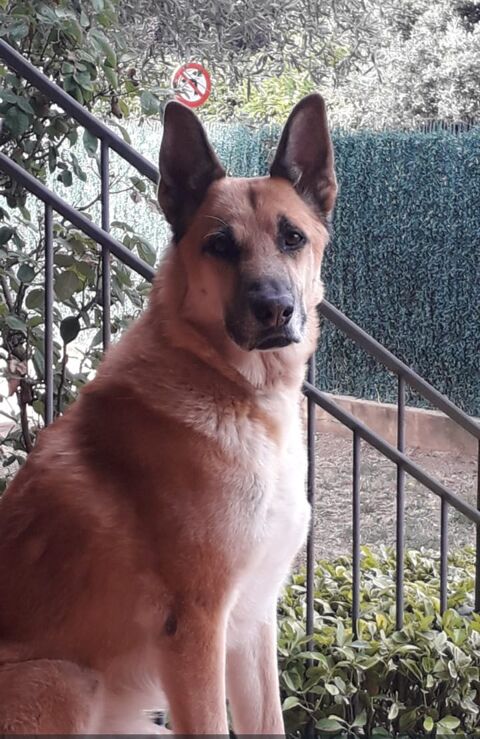 OTTO