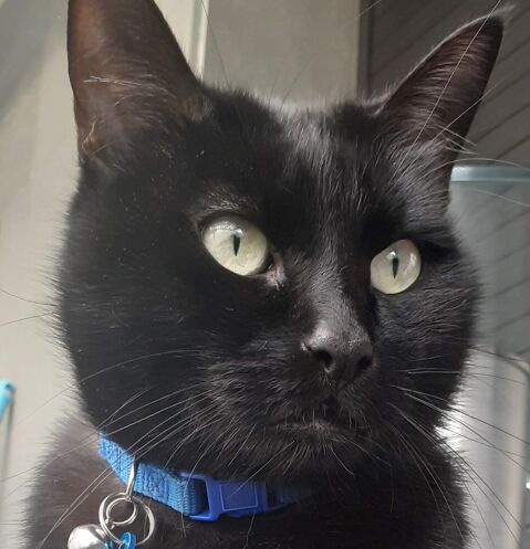 PACO