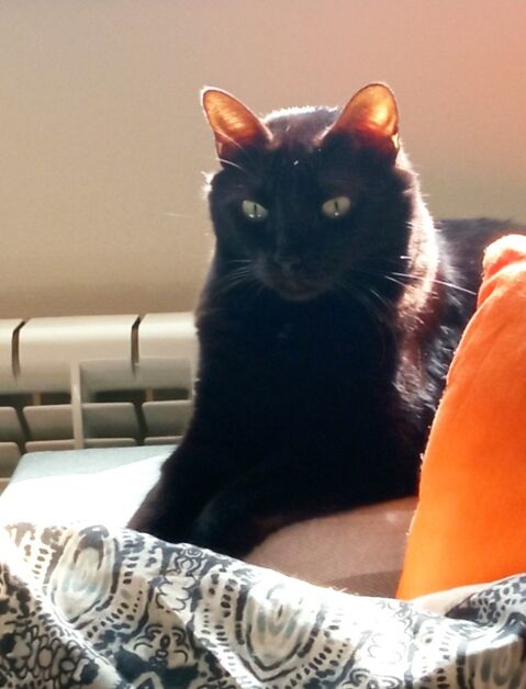PERCY