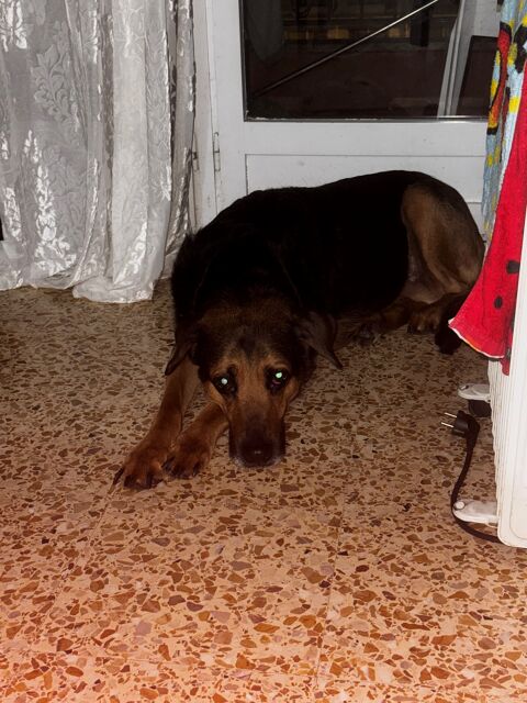 PERLA