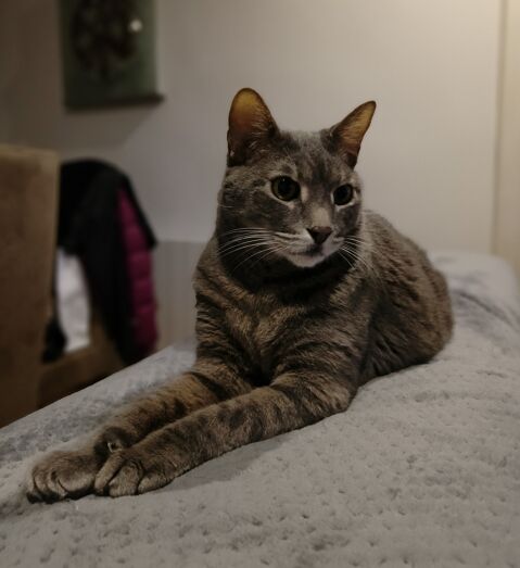 RAI