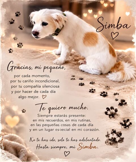 SIMBA