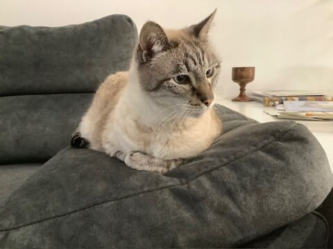 TITI