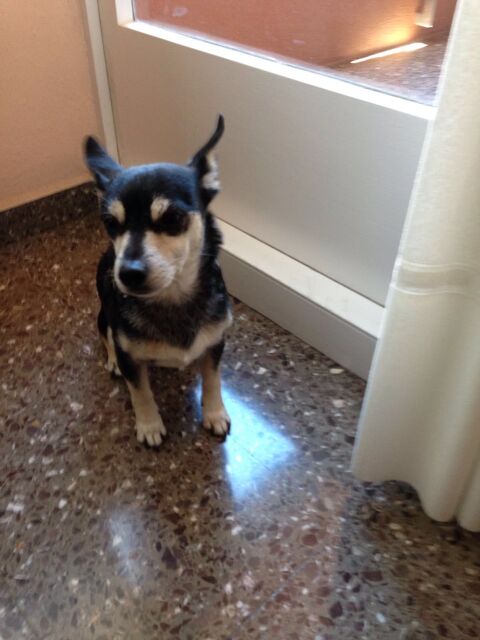 TROYA