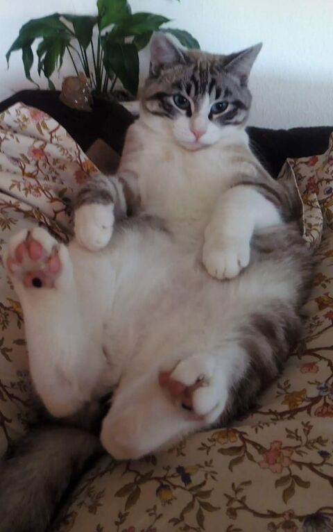 TUFY