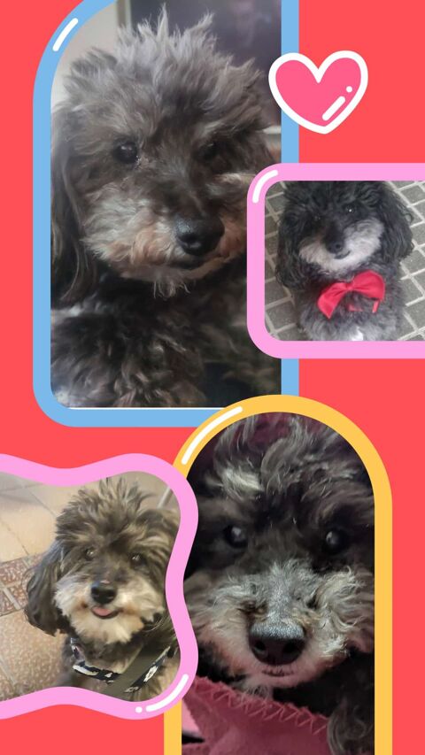 WILMA