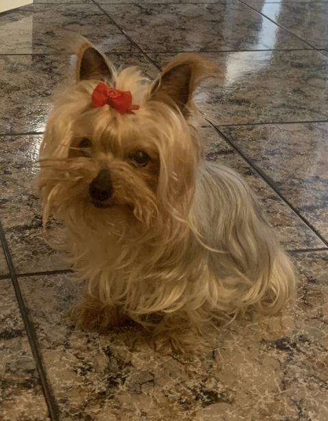 ZOE