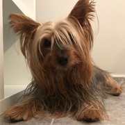 0a2e2-7e805-simba-19-1-2021.jpg