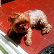 0b6db-27169-lluna12.jpg