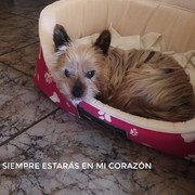 0b86b-5ec34-toby-10-02-21.jpeg