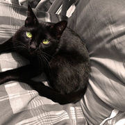 0e3fd-8c057-pepa_opt.jpg