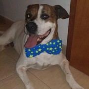 159ae-TAYSON-18-12.jpg