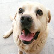1f5b6-7edf7-rocky-18.jpg