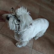 28337-LULA-17-11.jpg