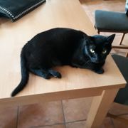 2be5c-a8aa5-gilda_img-20181004-wa0005.jpg