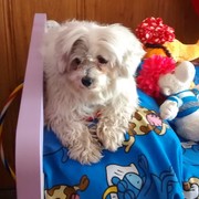 2d90e-LUCAS-18-11.jpg