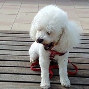 39422-3d540-TOBI-26-04.jpg