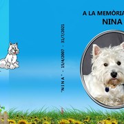 42086-NINA-1-08-22.jpg